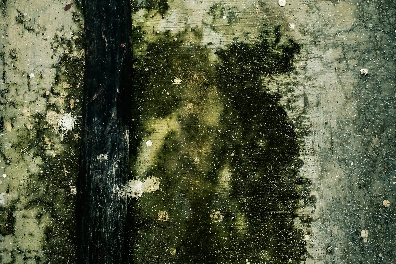 Dark mold growth spreading across a damp surface