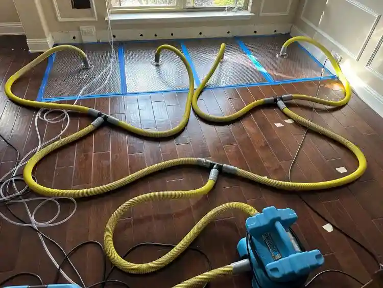 a yellow hoses on a wood floor doing water damage services in dallas